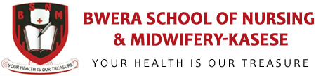 Bwera School of Nursing And Midwifery-Kasese